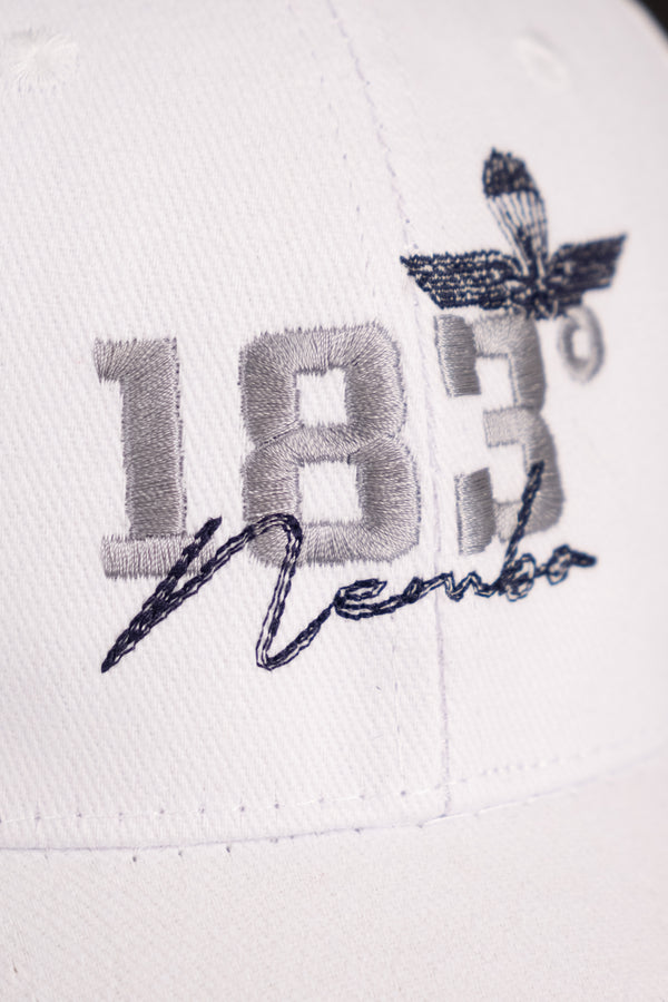 Cappello AAE441