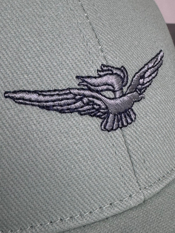 Mens hat AAE457