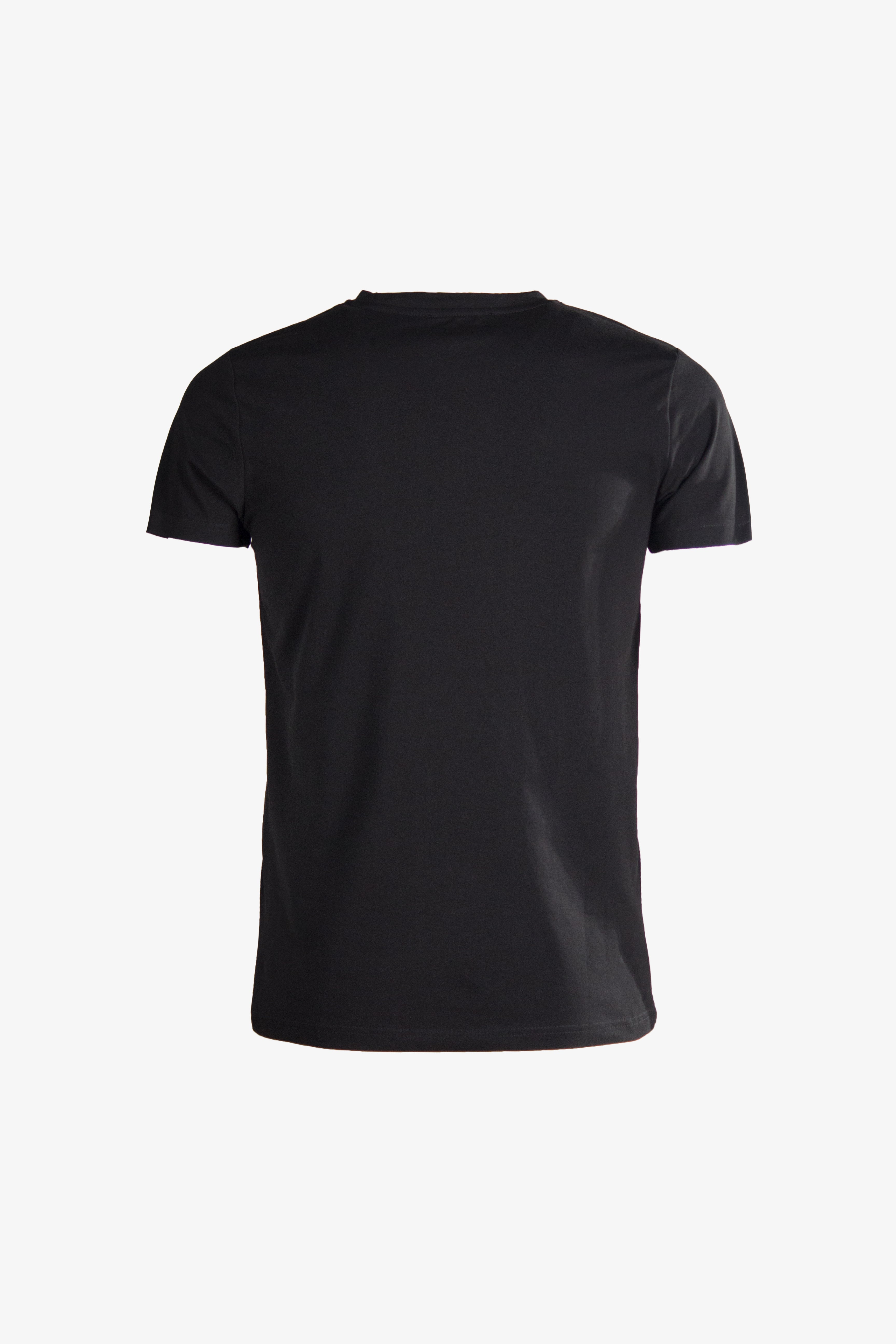 T shirt Uomo Slim Fit AAG222 Esercito Sportswear